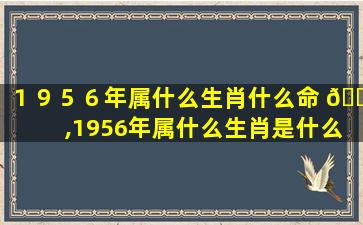 １９５６年属什么生肖什么命 🕸 ,1956年属什么生肖是什么命